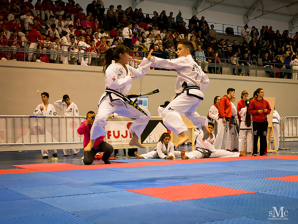 COPA SEUL, 2017  (107).JPG